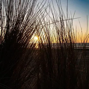 Vitamin Sea , Zandvoort Nederland