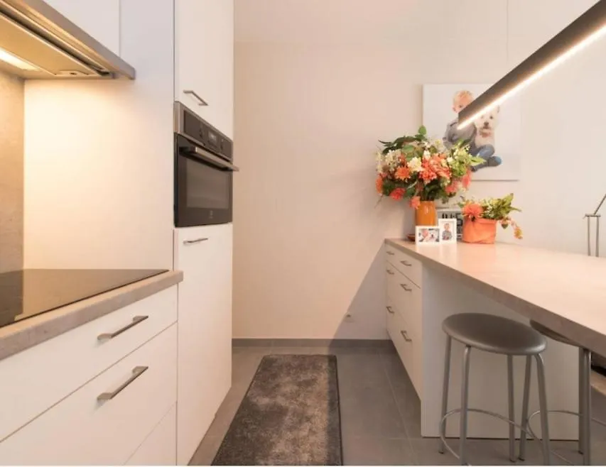 Seafeeling Apartment Middelkerke